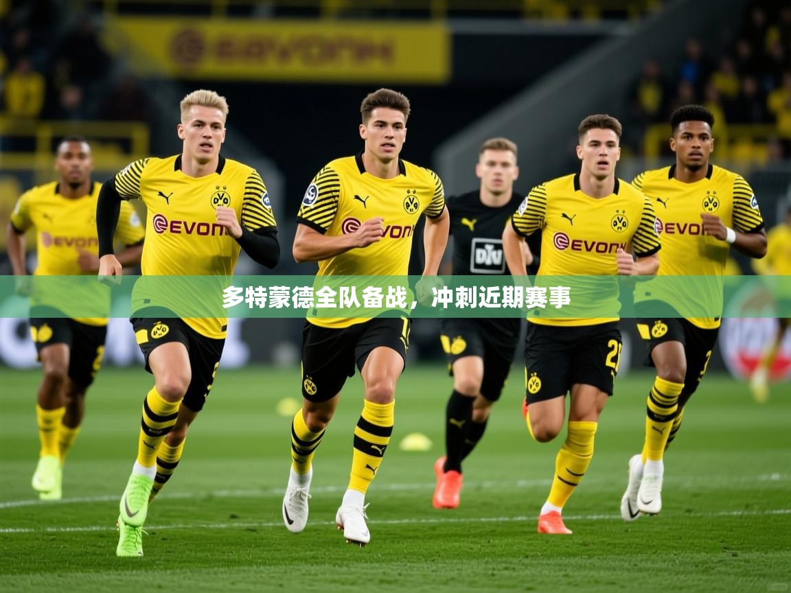 2025 完美体育官网多特蒙德全队备战，冲刺近期赛事  第3张