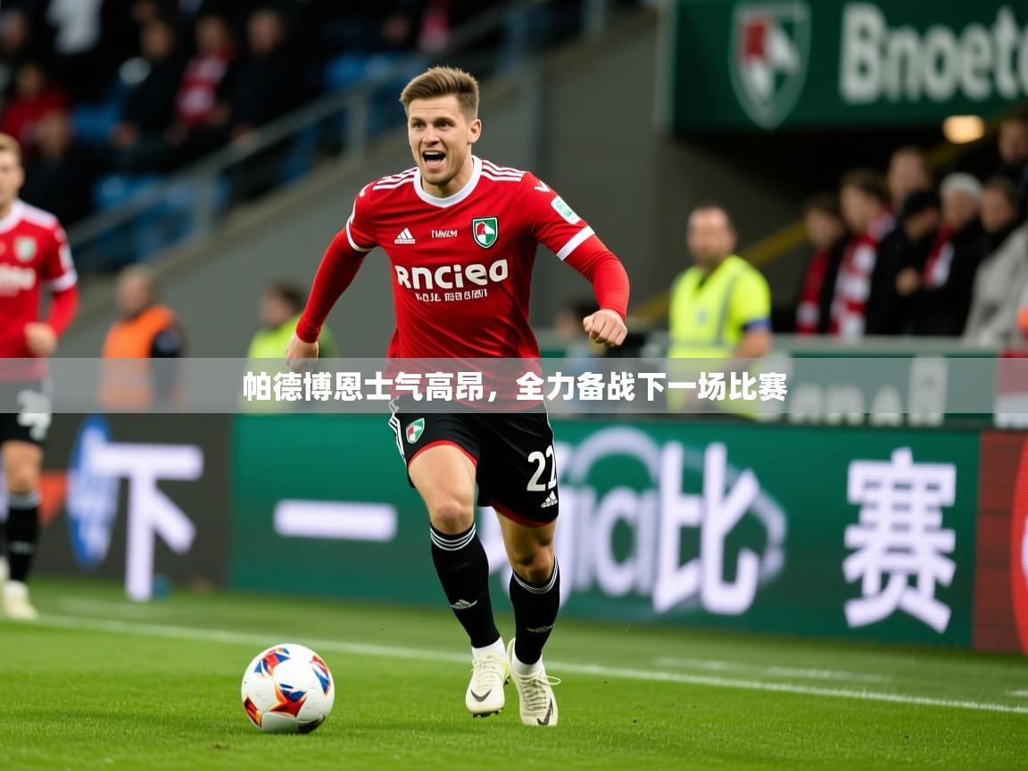 2026 完美体育官方帕德博恩士气高昂，全力备战下一场比赛  第4张