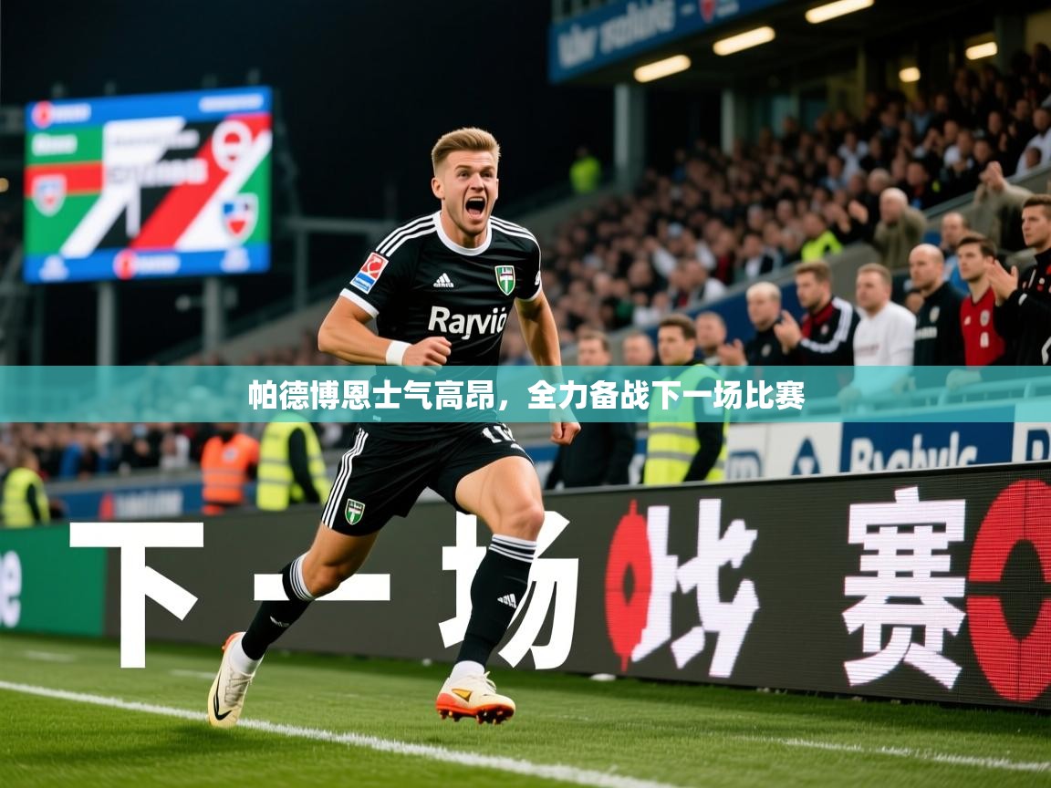 2026 完美体育官方帕德博恩士气高昂，全力备战下一场比赛  第3张